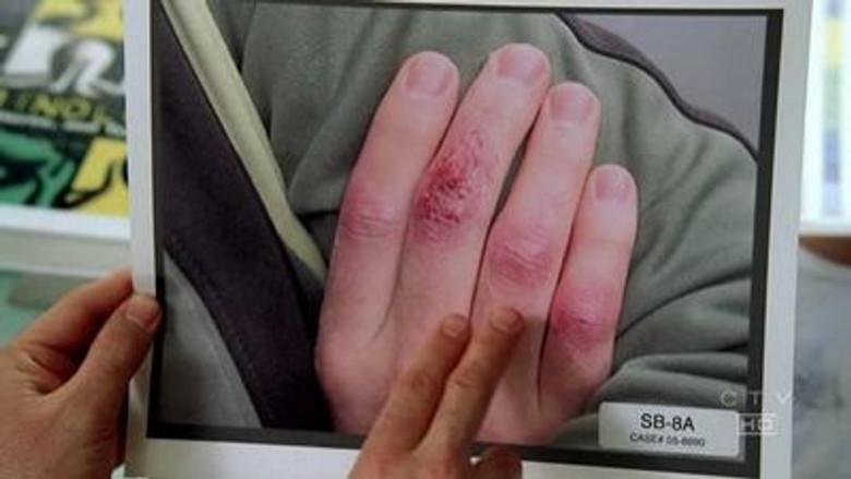 Cazador de tendencias