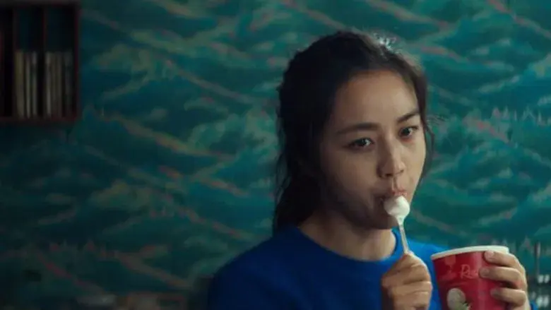 El simpatizante - Fondo