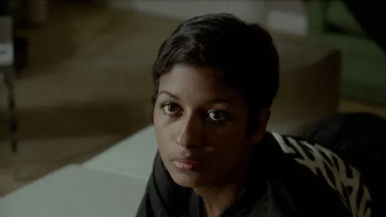 El silencio de un hombre (El samurái) - Fondo