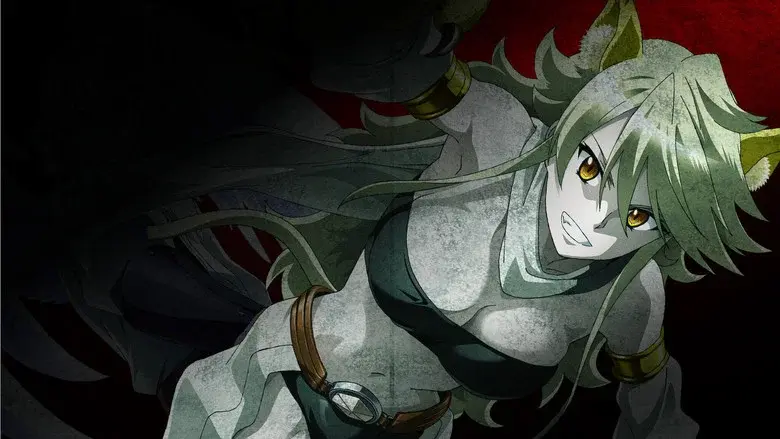 Akame ga Kill! - Fondo
