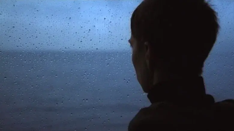 Mein langsames Leben - Fondo