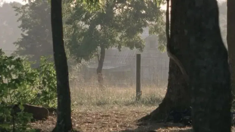 The Walking Dead - Fondo