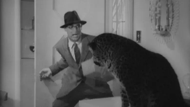 La fiera de mi niña - Fondo