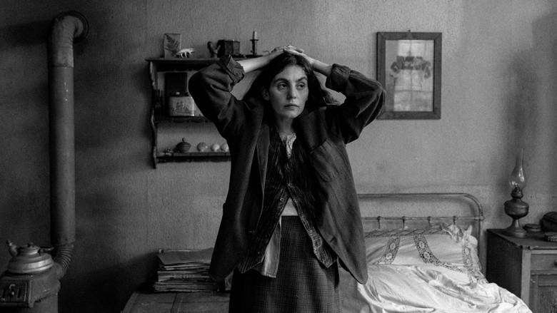 La chica de la aguja - Fondo