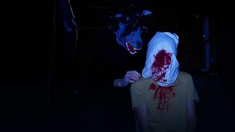 The Creep Tapes - Fondo