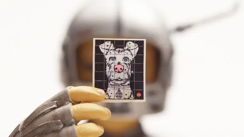 Isla de perros - Fondo