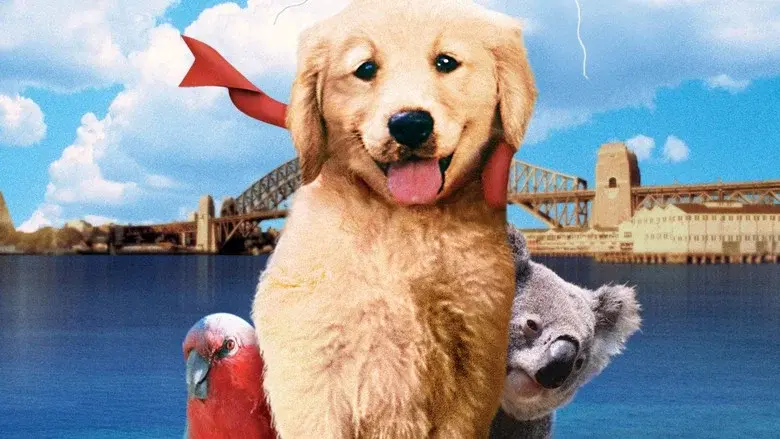 Napoleón, el perrito aventurero - Fondo