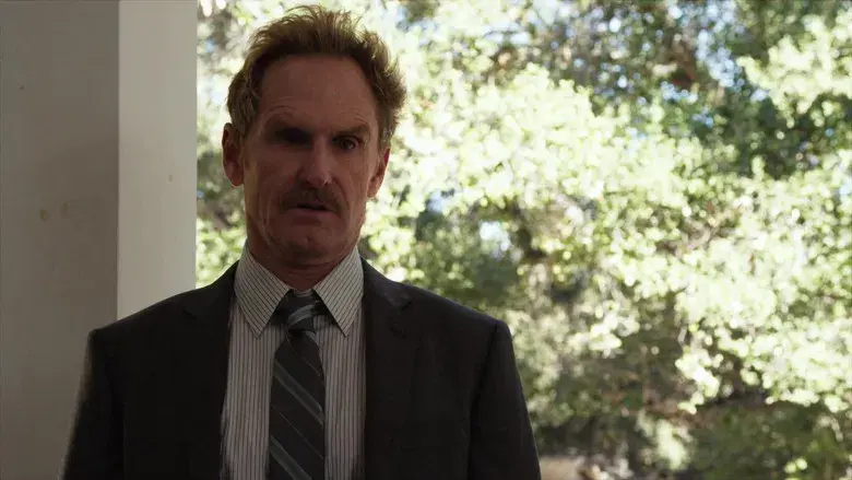 El hombre detrás de la cortina