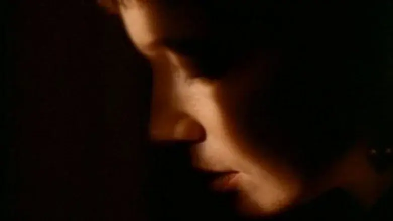 The Wife - Fondo