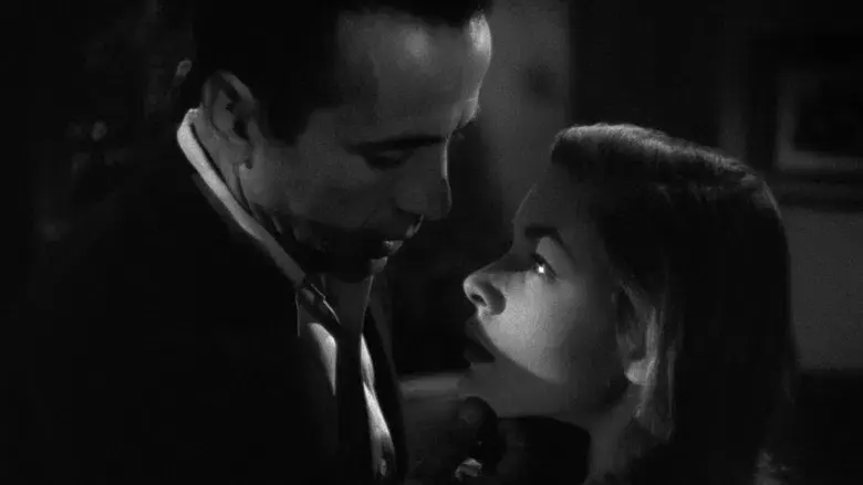 Tener y no tener - Fondo