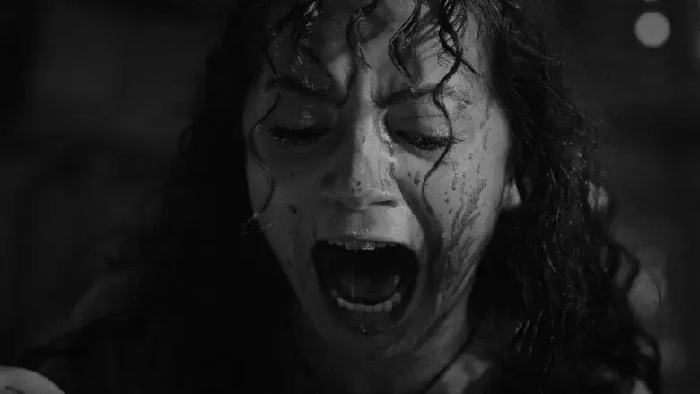 Alien: Romulus - Fondo