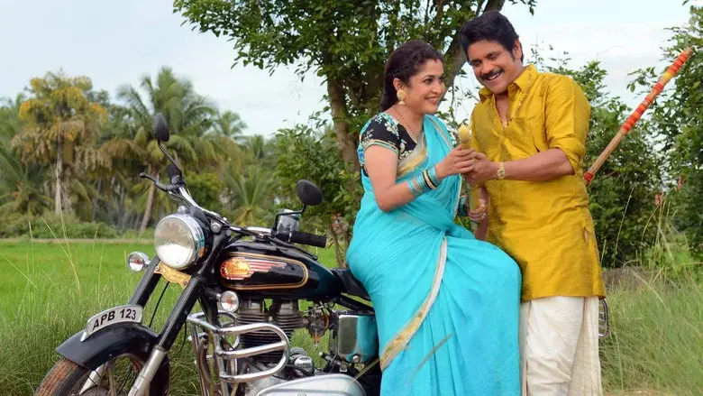 సోగ్గాడే చిన్నినాయనా - Fondo