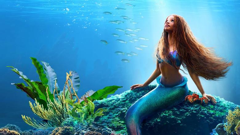 La sirenita - Fondo