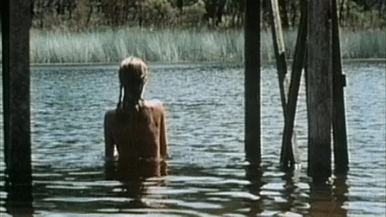 Danielle Steel:  Desde ahora y para siempre - Fondo