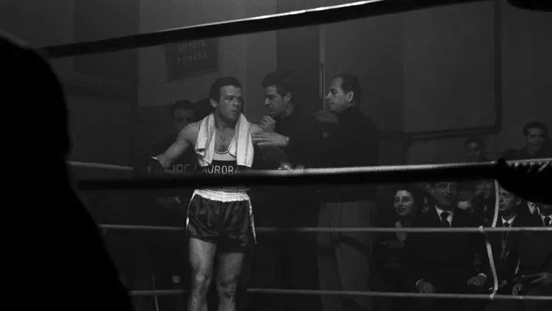 Rocco y sus hermanos - Fondo