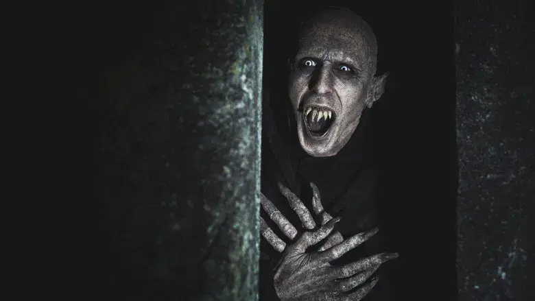 Lo que hacemos en las sombras - Fondo