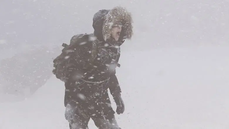 Alborismo polar