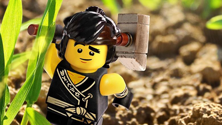 La Lego Ninjago película - Fondo