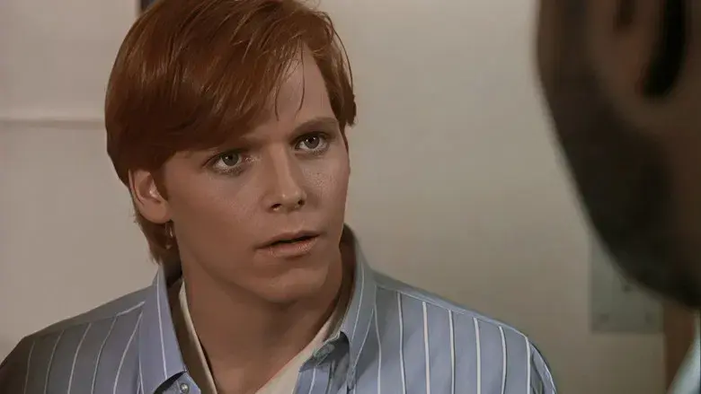 No estirar el arco iris