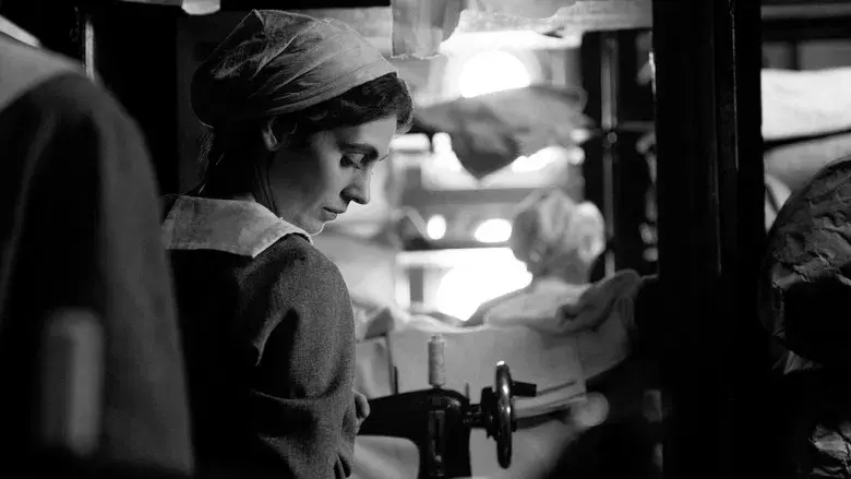 La chica de la aguja - Fondo