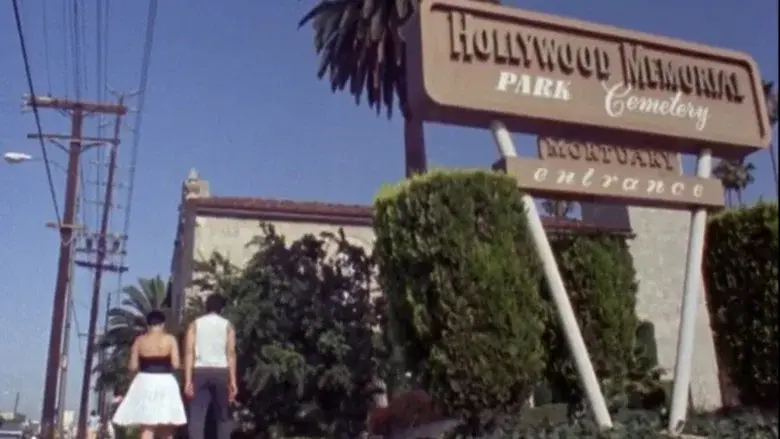 Totally F***ed Up - Fondo