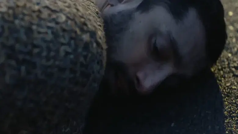 The Long Goodbye - Fondo