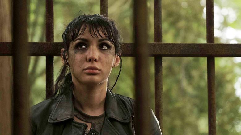 La casa dentro de casa