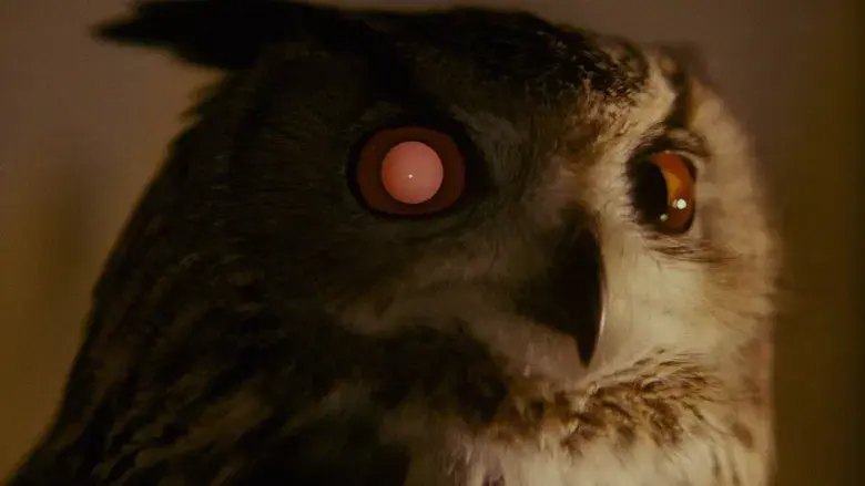 Blade Runner - Fondo