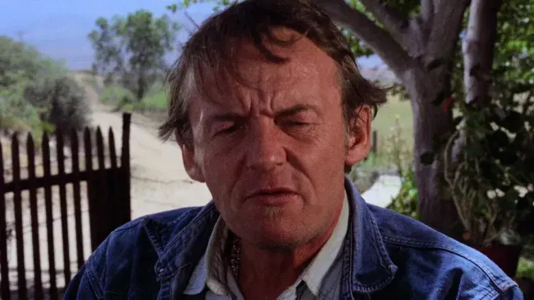 Easy Rider (Buscando mi destino) - Fondo