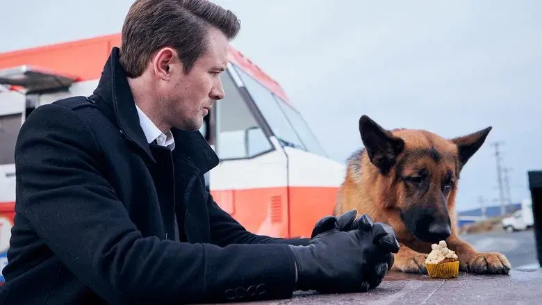 Hudson & Rex - Fondo