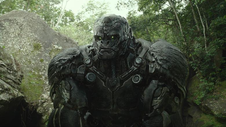 Transformers: El despertar de las bestias - Fondo