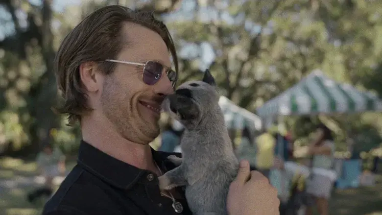 Hit Man. Asesino por casualidad - Fondo