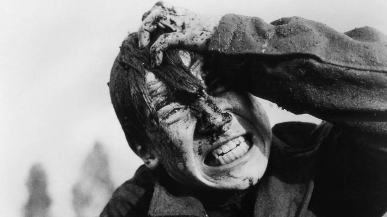 Masacre (Ven y mira) - Fondo