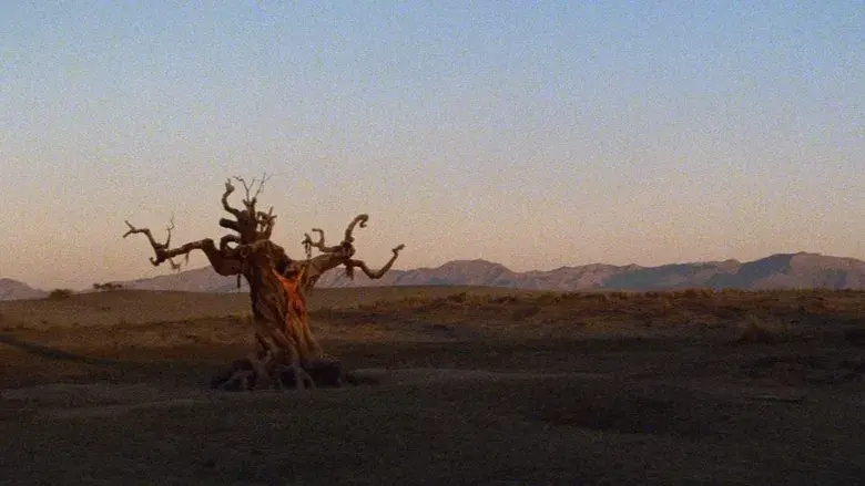 Conan, el bárbaro - Fondo