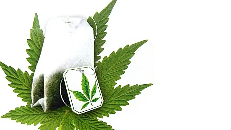 El jardín de la alegría - Fondo