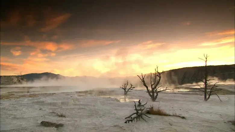 Inside Planet Earth - Fondo
