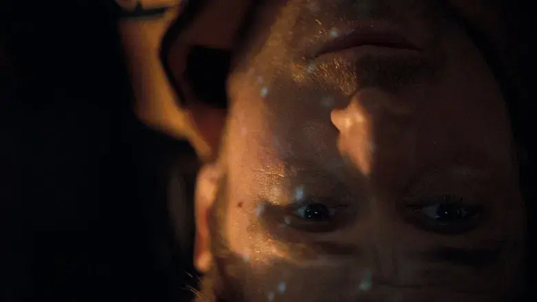 Proyecto salvación - Fondo