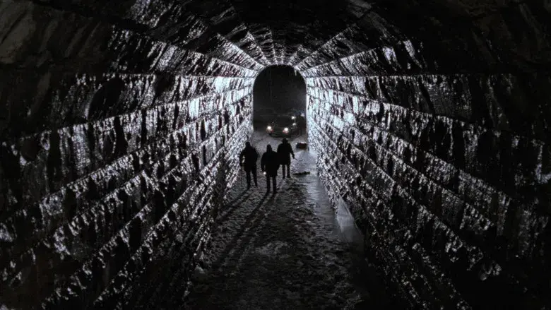 La zona muerta - Fondo