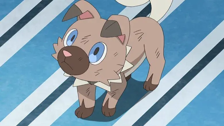 ¡Combatiendo en la colina Huellazarpas!