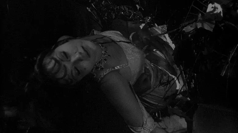 Gritos en la noche - Fondo