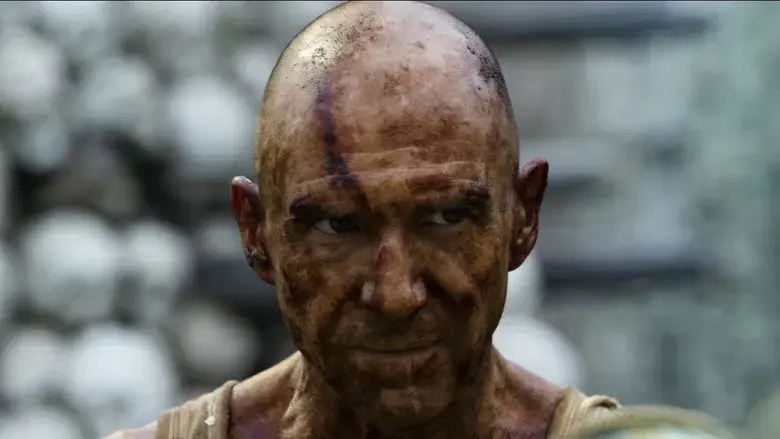 28 años después - Fondo