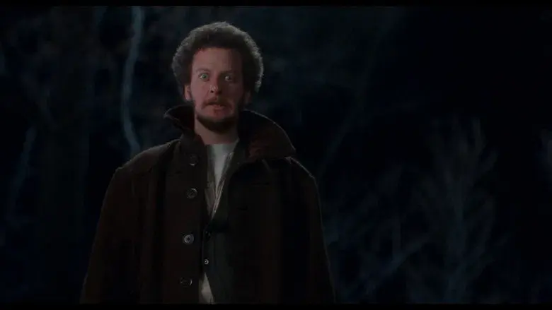 Solo en casa - Fondo