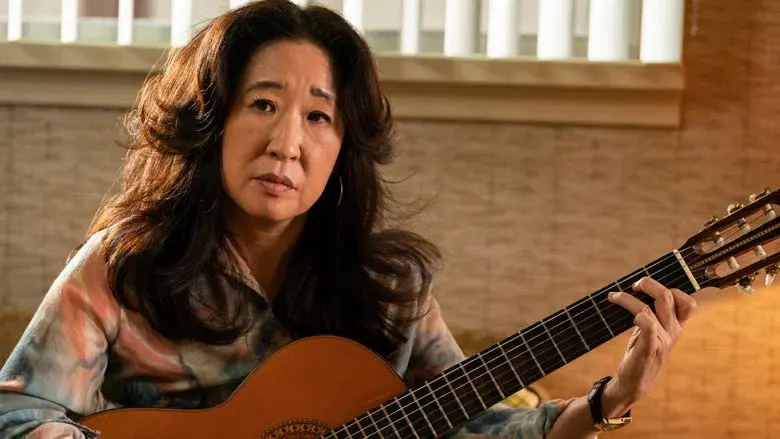 El simpatizante - Fondo