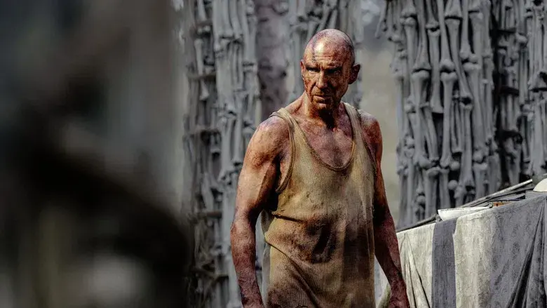 28 años después - Fondo