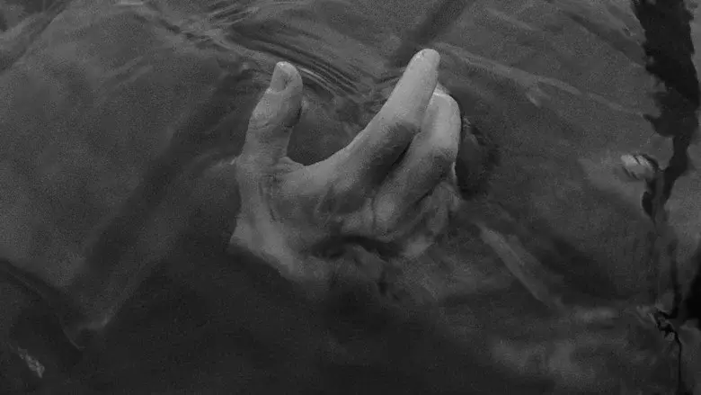 La vergüenza - Fondo