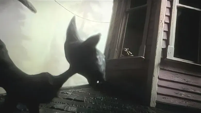 Los mundos de Coraline - Fondo