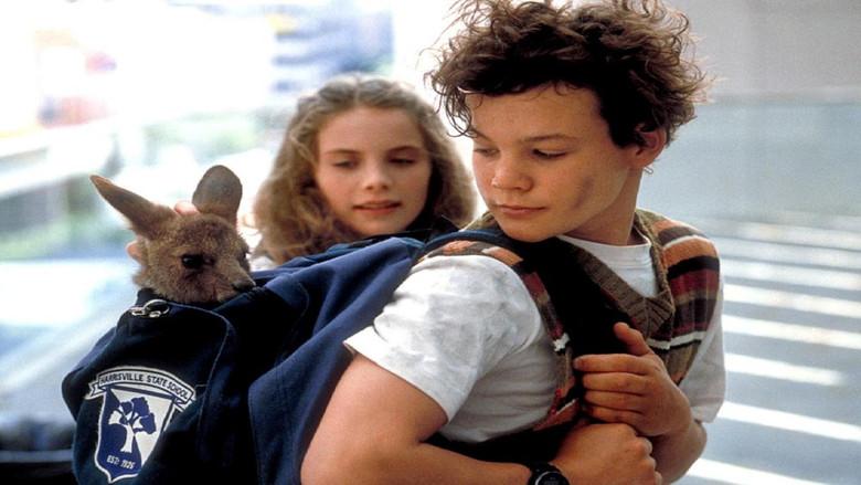 Joey, un canguro en la ciudad - Fondo