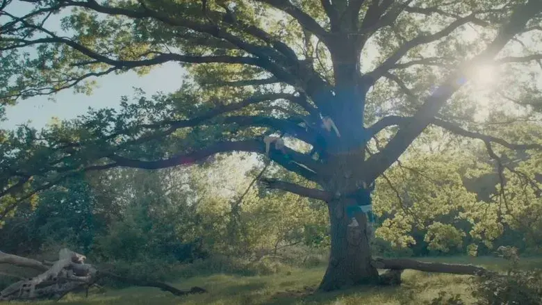 Bridget Jones: Loca por él - Fondo