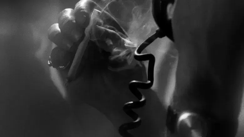 Who Killed Teddy Bear? - Fondo