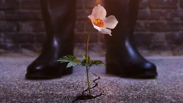 El hombre en el castillo - Fondo